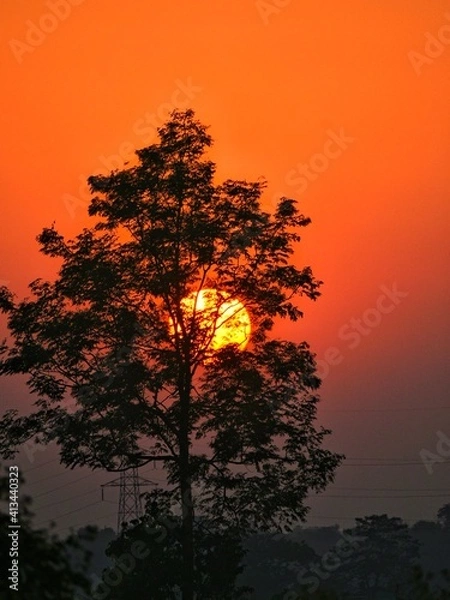 Obraz sunset and tree