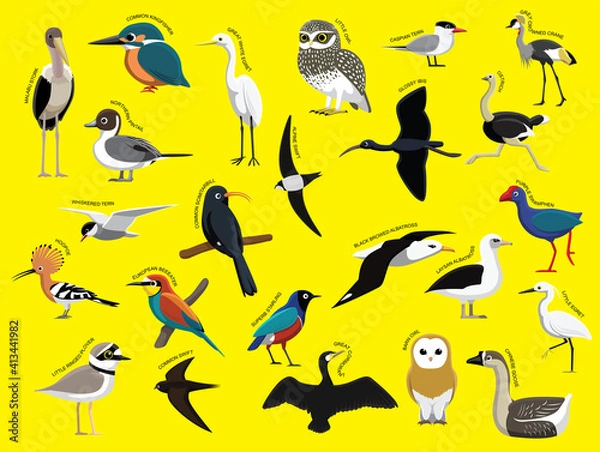 Fototapeta African Birds with Name Cartoon Character Set 1