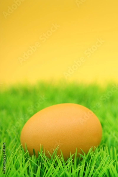 Fototapeta easter egg on grass