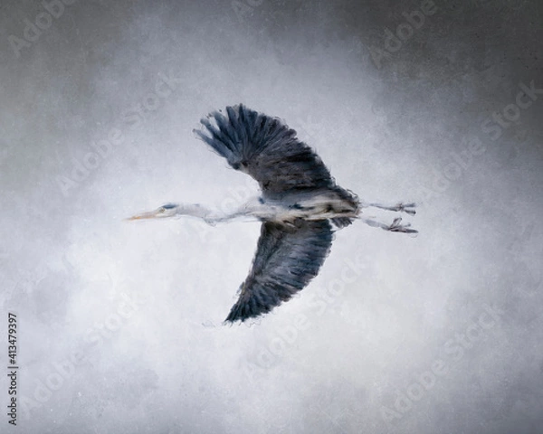Fototapeta Digitale Malerei eines Graureihers im Flug