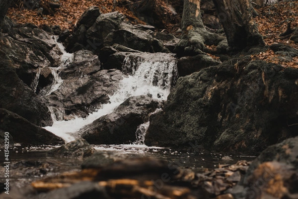 Fototapeta waterfall in the forest