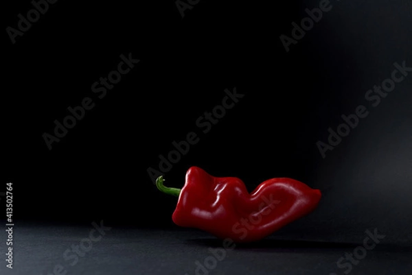 Fototapeta One whole red sweet bell pepper isolated on black background with copy space