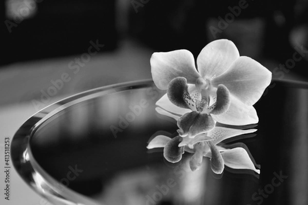 Obraz Orchid on the mirror (reflection)