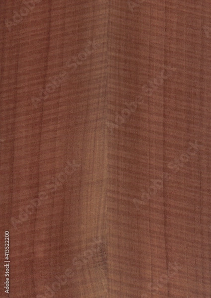 Obraz Rough Cut Nussbaum