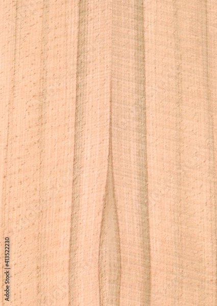 Obraz Rough Cut Buche