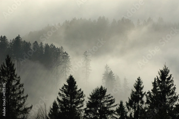 Obraz Herbstnebel 3