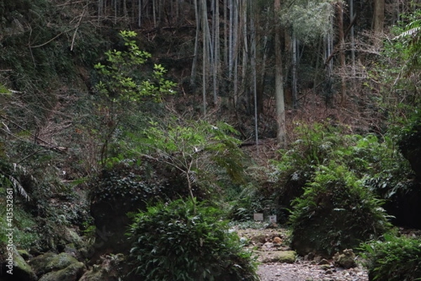 Obraz 高知県のジブリ伊尾木洞