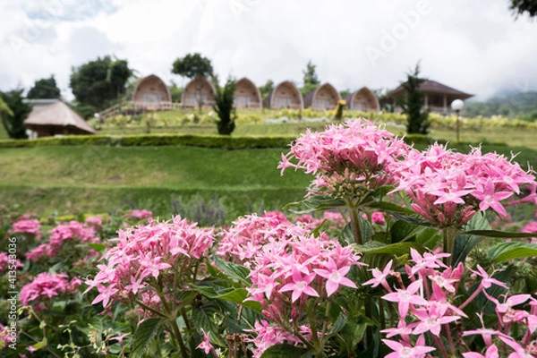 Obraz Flowers Garden