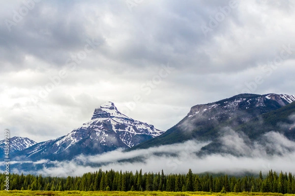 Fototapeta mountains in the mist