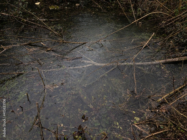 Fototapeta Rain falling in a forest puddle