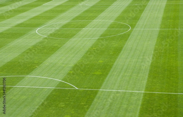 Obraz Soccer Field Grass