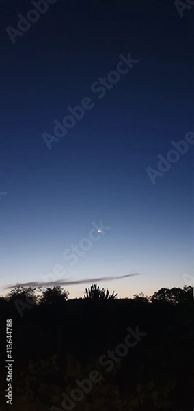 Fototapeta sunset in the desert