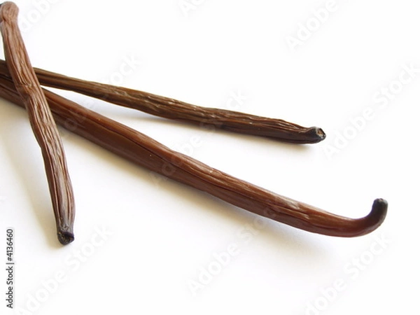 Obraz trzy ziarna wanilii bourbon