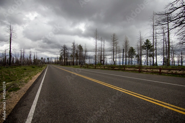Fototapeta Death Forrest, Bryce canyon