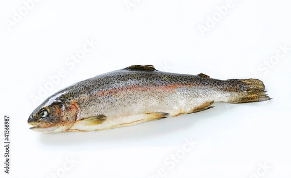 Fototapeta Fresh trout