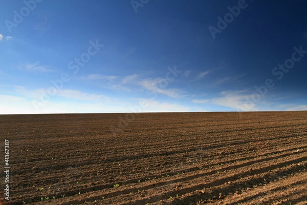 Fototapeta Plowed field