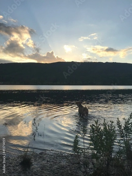 Obraz sunset on the lake