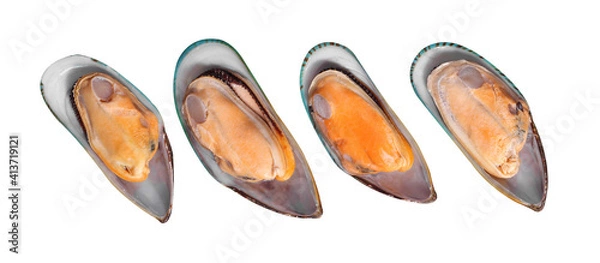 Fototapeta Boiled mussels on white background