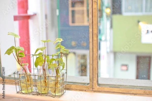 Obraz カフェの窓辺