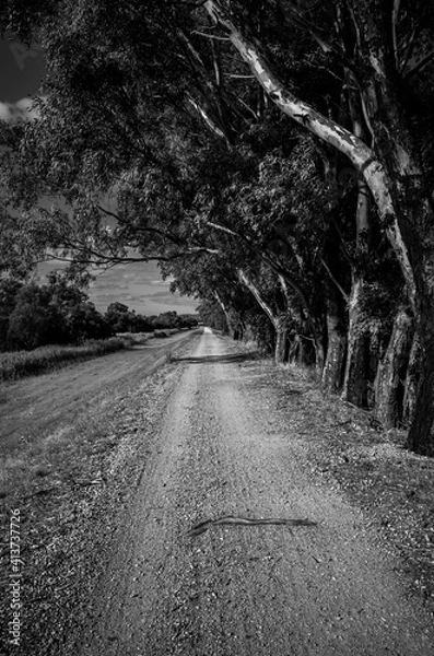 Fototapeta Dirt road
