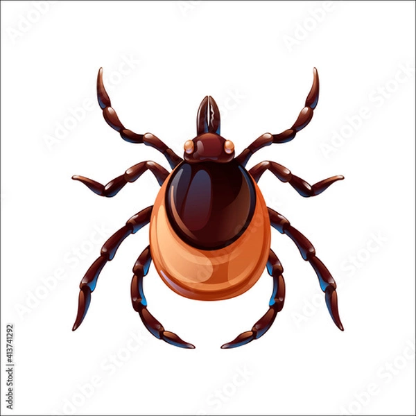 Obraz Mite bug art, insect control. Vector illustration