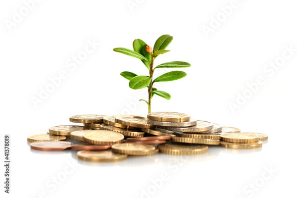 Fototapeta Make money concept.