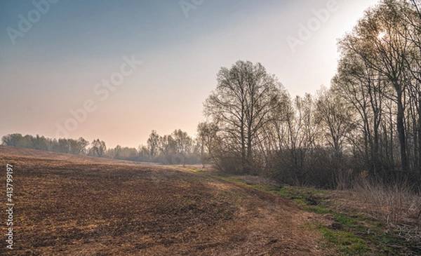 Fototapeta Spring landscape