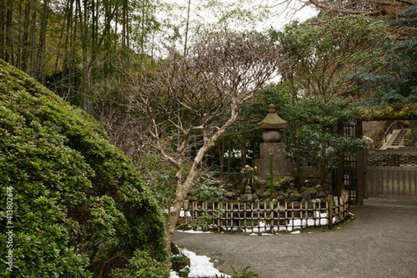 Obraz 日本的な庭園