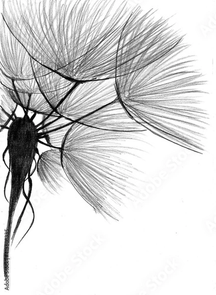 Obraz dmuchawce - rysunek ołówkiem - pionowo