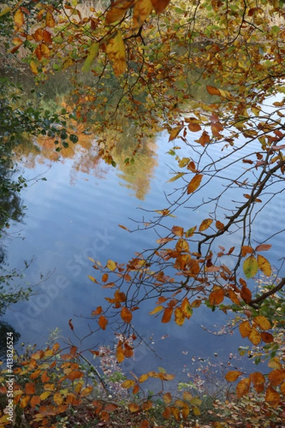 Obraz Autumn is on its way. Fall it is.