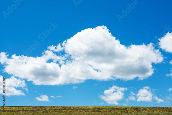 Obraz field and cloudy sky
