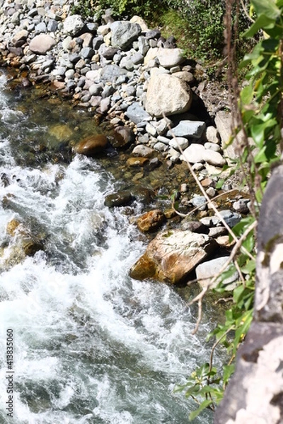 Fototapeta stream in the forest