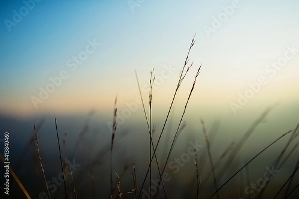 Obraz sunset in the field