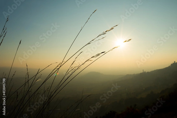 Obraz sunset in the field