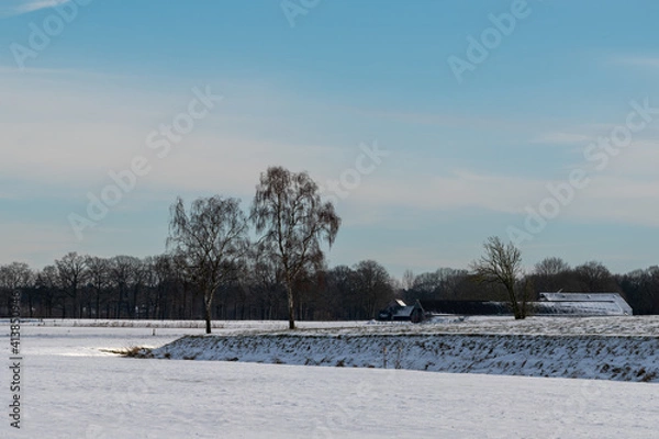 Obraz winter landscape with trees