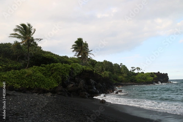 Obraz Black sand beach with trees
