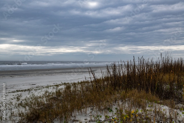 Obraz beach due from the dunes
