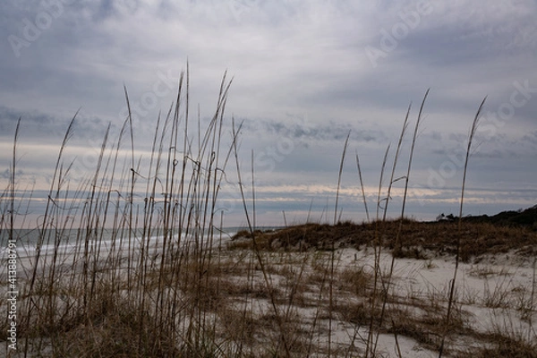 Obraz sand dunes at the beach