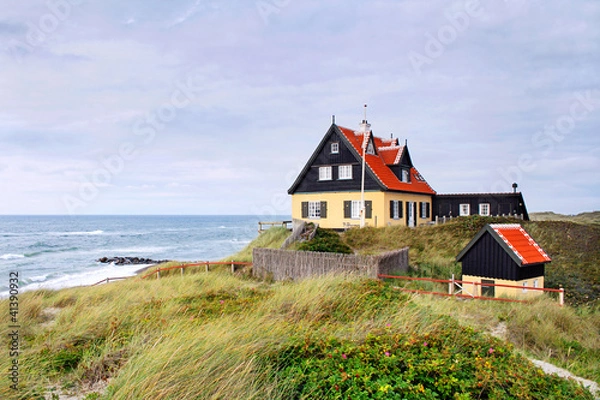 Obraz Dom na wydmieniu w Skagen, Dania - Tlerch