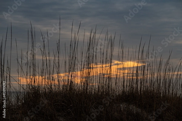 Obraz orange sky behind the grass
