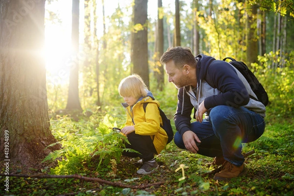 Fototapeta School boy and his father hiking together and exploring nature with magnifying glass. Child with his dad spend quality family time together in the sunny summer forest.