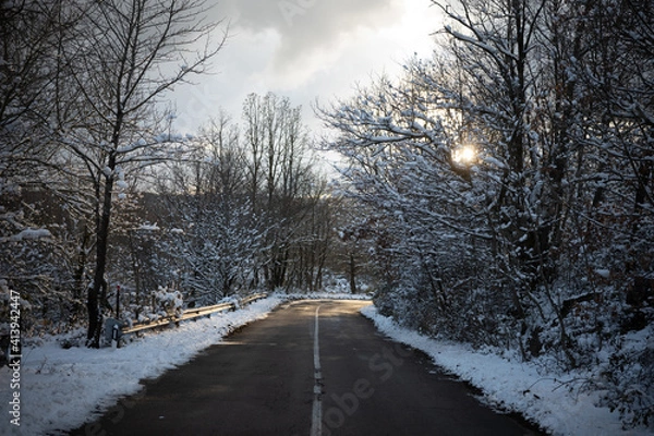 Obraz road in winter