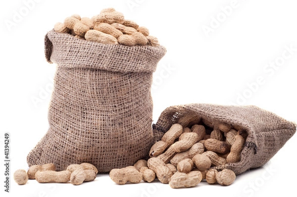 Obraz Peanut in a bag
