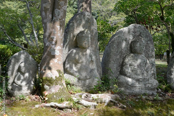 Fototapeta 大覚寺　大沢池　石仏群　京都市嵯峨野