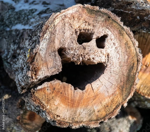 Fototapeta smiley on a cut of a tree trunk