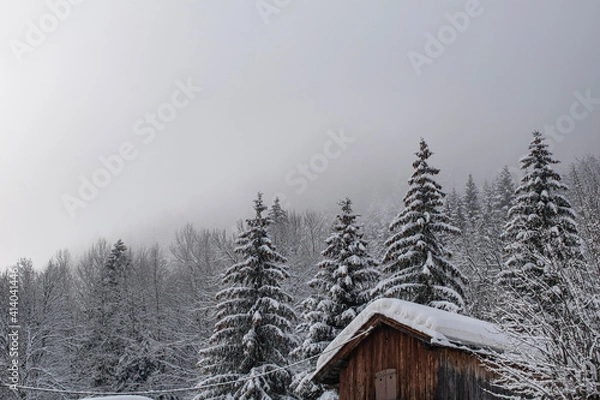 Obraz house in the snow