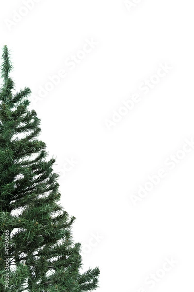 Obraz Christmas tree from left side