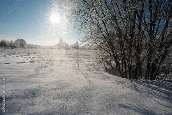 Obraz Winter flat landscape.After a cold night, the branches of the trees in the field are covered with frost. The background is blurry, boke. Traces of people, sunny sky, small and large plants are visible