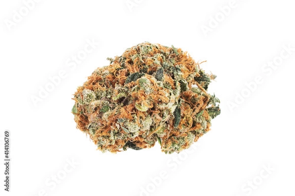 Fototapeta Marijuana bud isolated on white background