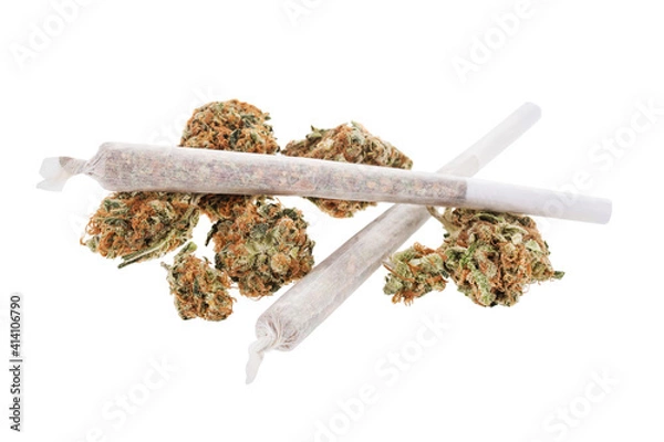Obraz Marijuana joints witw buds isolated on white background